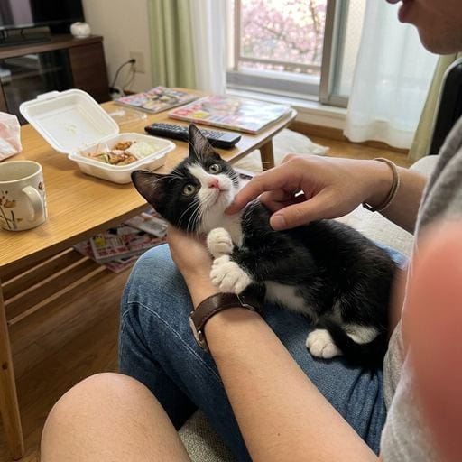 八割王子：やっほー！みんな、げんきにしてるかにゃ？八割王子だよ💕 きょうはね、ゴールデンウィークなんだって！お外はぽかぽかで、お…